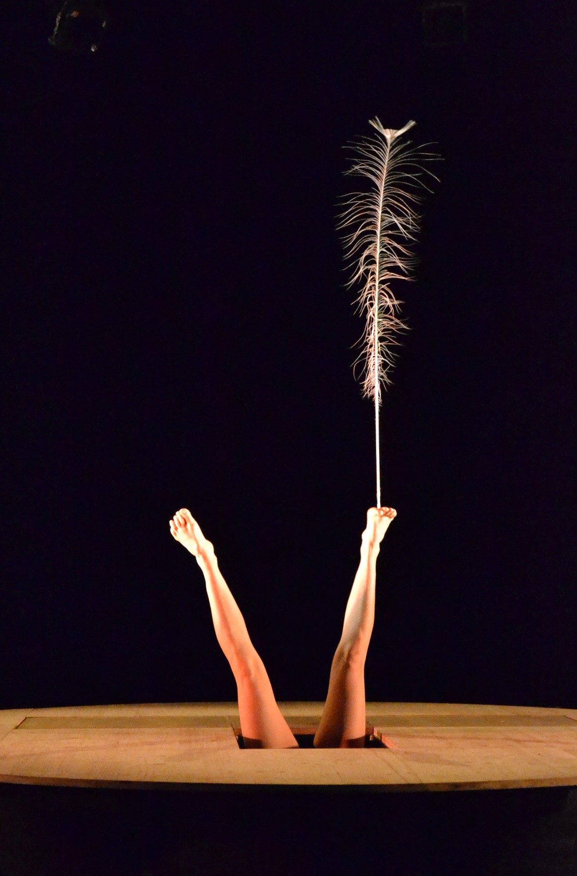 two legs emerge from the petite planète set and balance a white peacock feather juggling antipodism